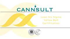 Lean Six Sigma Yellow Belt Curriculum